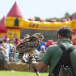 Countryside Hawking at St Ewe Country Fair