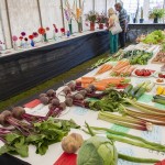 Horticulture Prize Winners at St Ewe Country fair