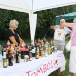 Tombola Stall at St Ewe Village Fete