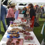 Cake Stall at St Ewe Village Fete