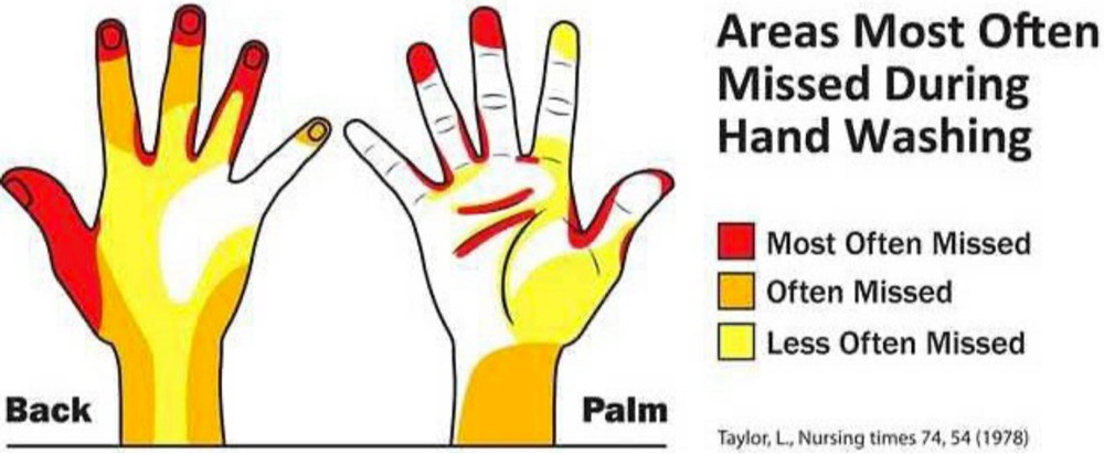 Areas on hands most often missed when hand-washing